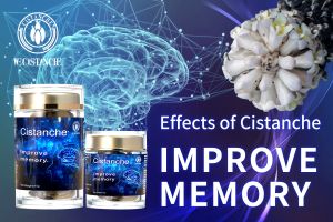 improving brain function