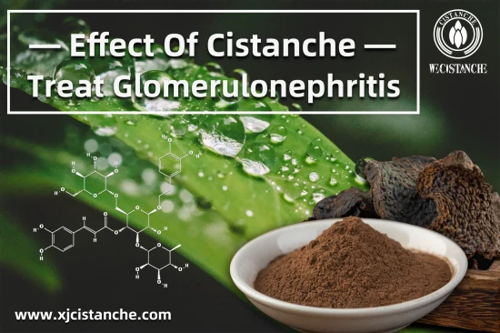 cistanche for kidney protection cistanche for kidney protection