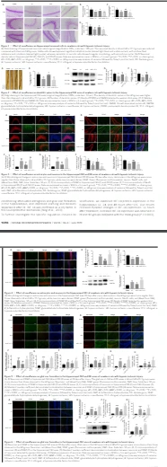 improve cognitive function