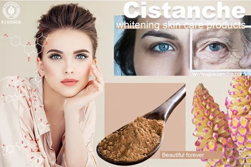 Benefits of cistanche tubulosa-inhibit tyrosinase expression (1)