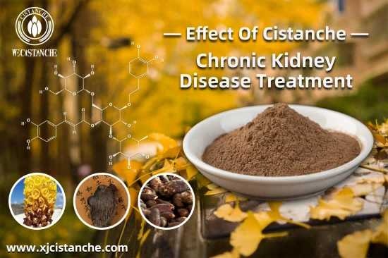 NEW HERBAL CISTANCHE FOR ACUTE KIDNEY INJURY (AKI)