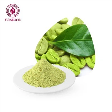 Bubuk Asam Klorogenat