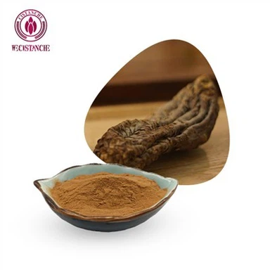 Bubuk Ekstrak Cistanche Tubulosa