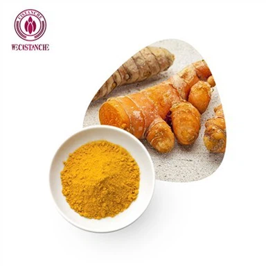 Curcumin 95 Bubuk