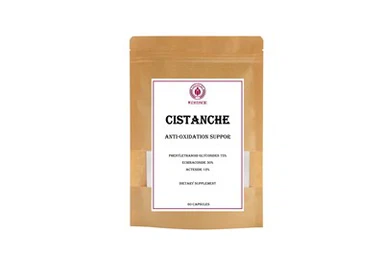 Suplemen Diet Cistanche Dukungan Anti-Oksidasi Phenylethanoid Glikosida 75 persen Echinacoside 30 persen Acteoside 12 persen