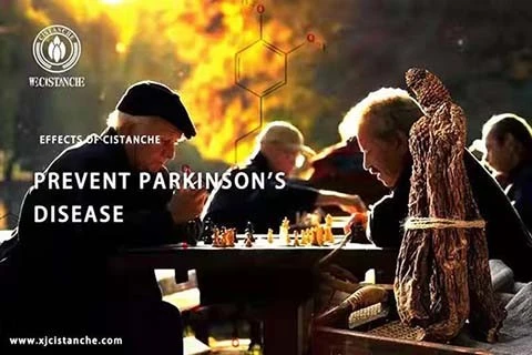 Cistanche for Preventing Parkinsons Disease Cistanche for Preventing Parkinsons Disease