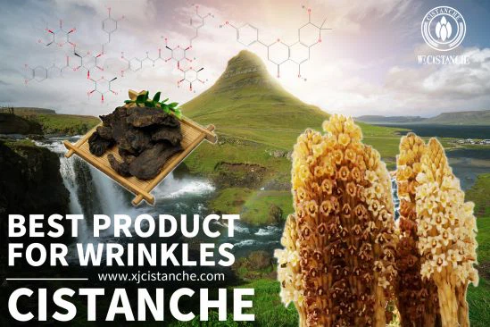 New Herbs Cistanche With Strong Antioxidant Power New Herbs Cistanche With Strong Antioxidant Power